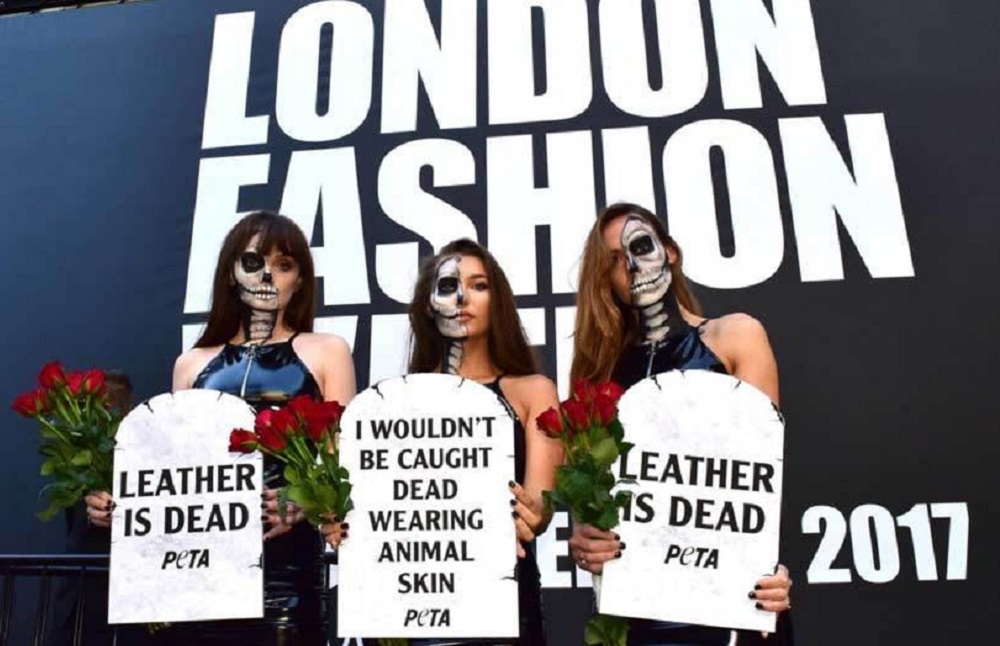 The anti-fur movement's sucess explained